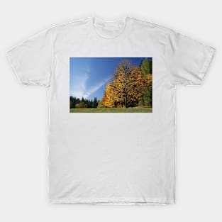 blue sky T-Shirt